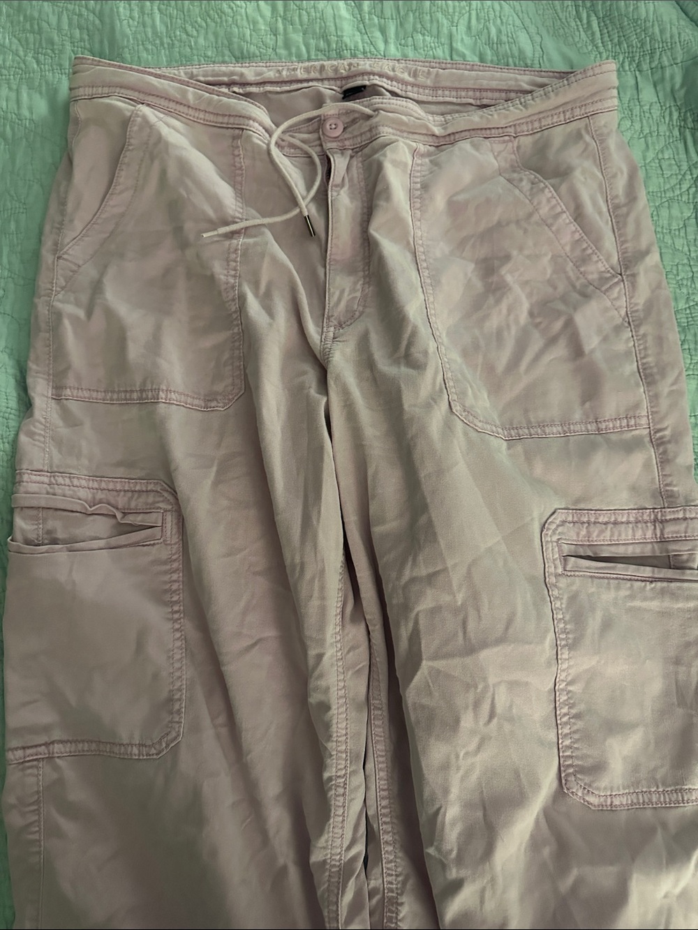 American Eagle Outfitters Wide Leg Cargo Pants - Light Mauve